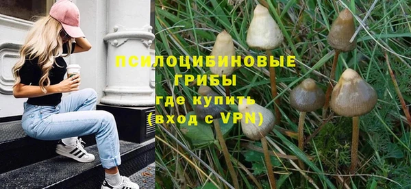 гидра Армянск