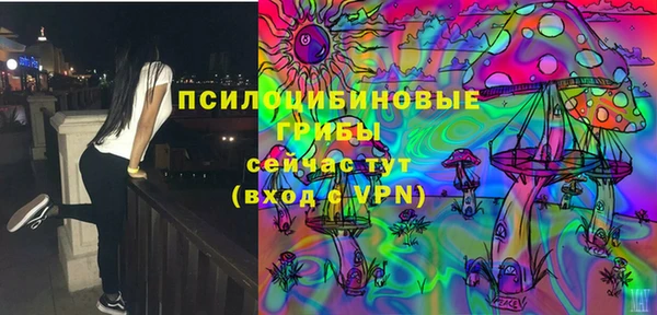 гидра Армянск