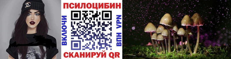 где купить наркоту  Холмск  Псилоцибиновые грибы Psilocybine cubensis 